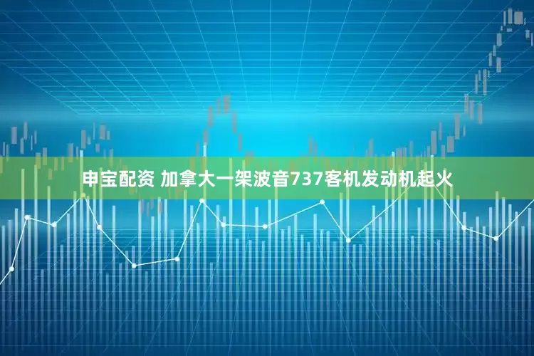 申宝配资 加拿大一架波音737客机发动机起火
