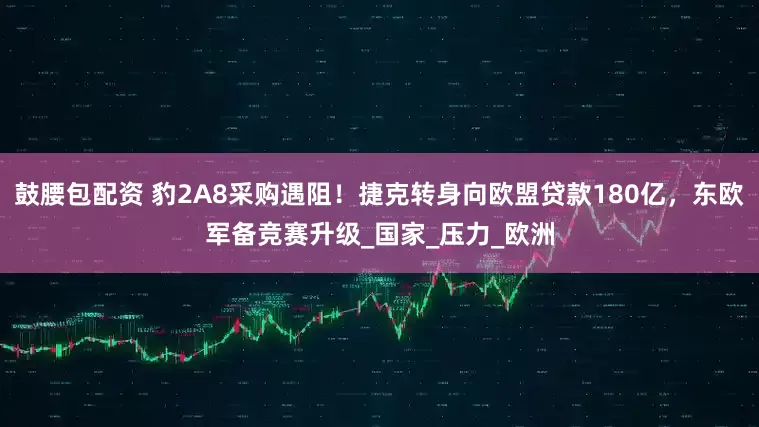 鼓腰包配资 豹2A8采购遇阻！捷克转身向欧盟贷款180亿，东欧军备竞赛升级_国家_压力_欧洲