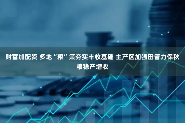财富加配资 多地“粮”策夯实丰收基础 主产区加强田管力保秋粮稳产增收