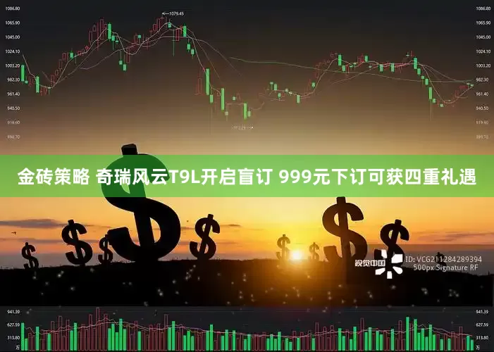 金砖策略 奇瑞风云T9L开启盲订 999元下订可获四重礼遇