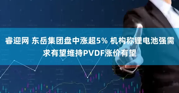 睿迎网 东岳集团盘中涨超5% 机构称锂电池强需求有望维持PVDF涨价有望
